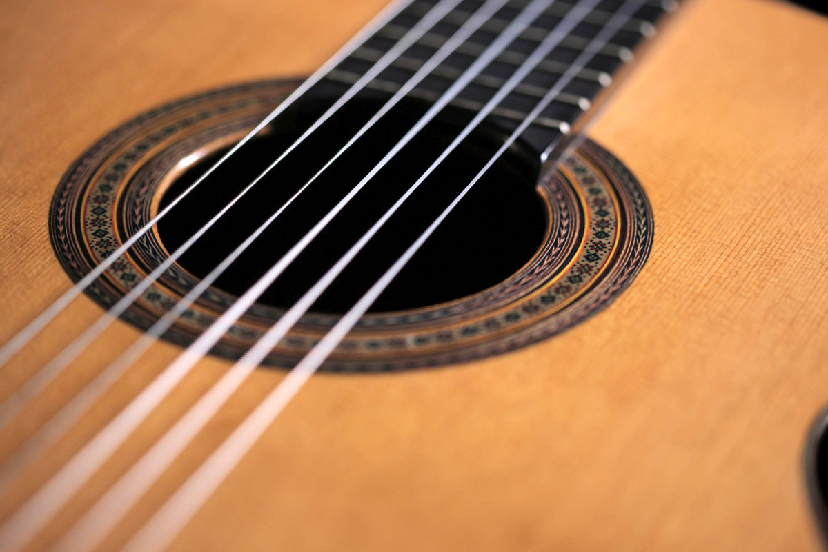 Classical Guitar Catalog Musicians Gear Zone