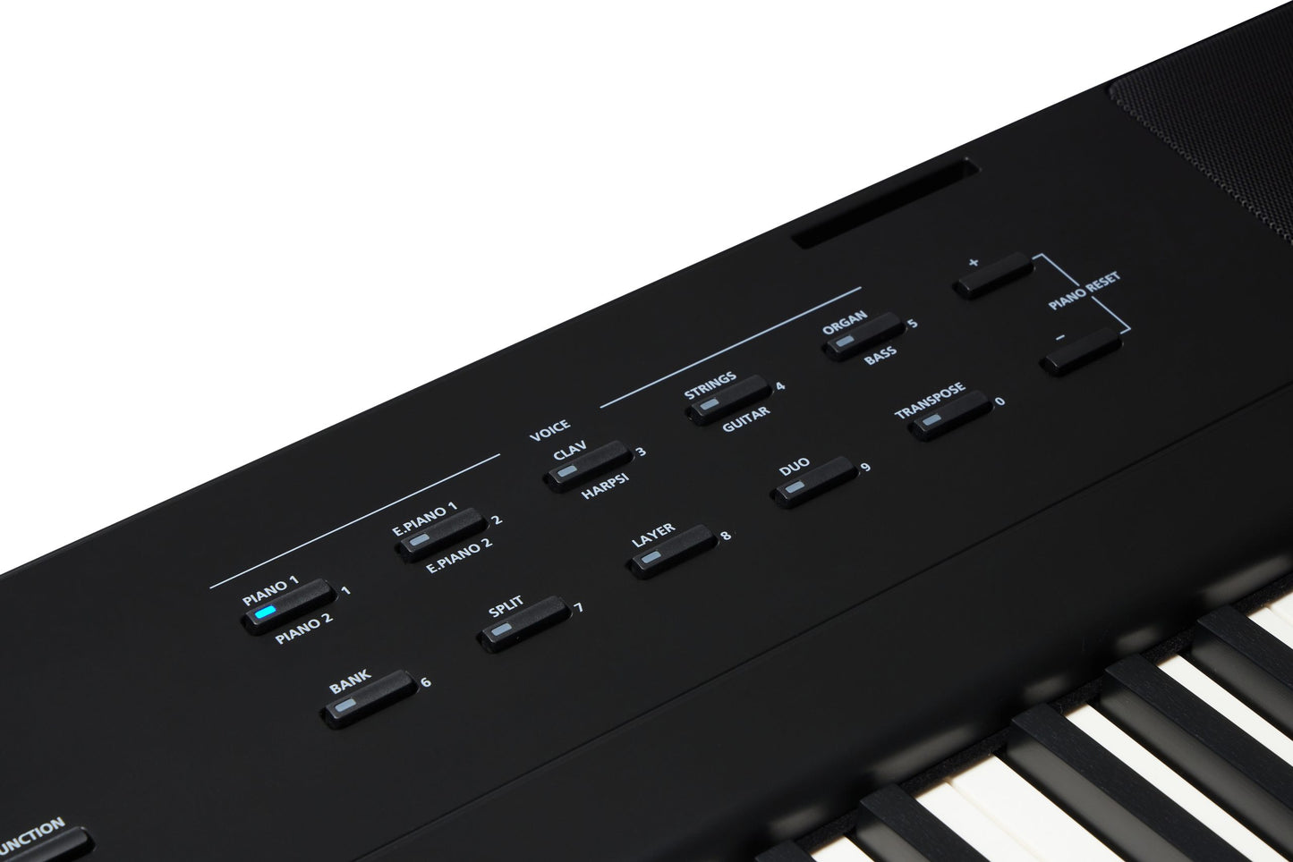 Kurzweil KaE1 Portable Digital Piano - Black