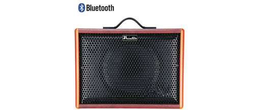 Veintica BM25 Rechargeable Acoustic Guitar Amplifier