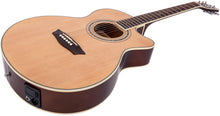 Load image into Gallery viewer, Washburn EAT12 Acoustic Electric Thinline Mini Jumbo Guitar + Free Bag