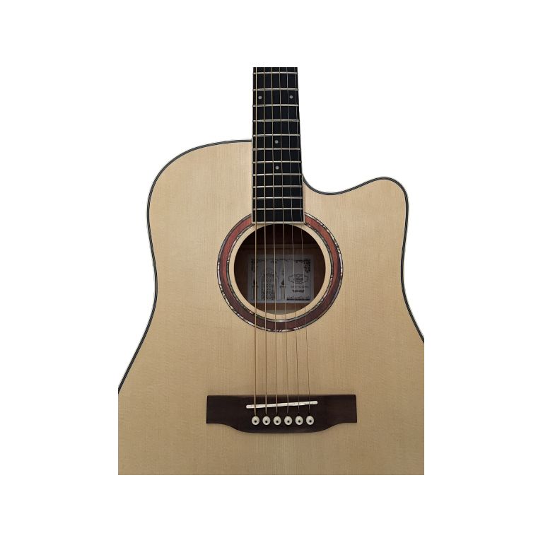 Giuliani Deluxe Acoustic Electric Guitar GAD-41SSNM