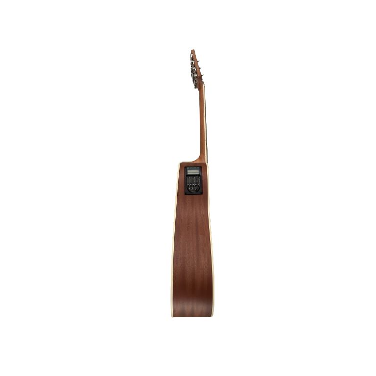 Giuliani Deluxe Acoustic Electric Guitar GAD-41SSNM