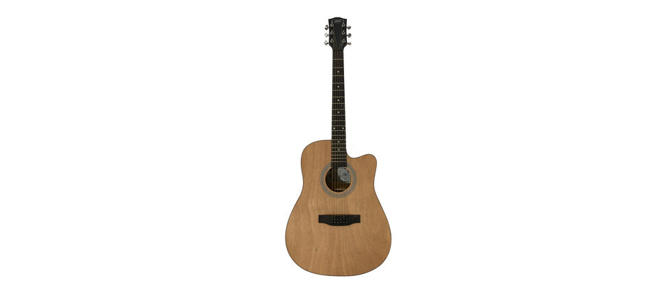 Giuliani GAG4100 Acoustic Guitar with FREE Bag