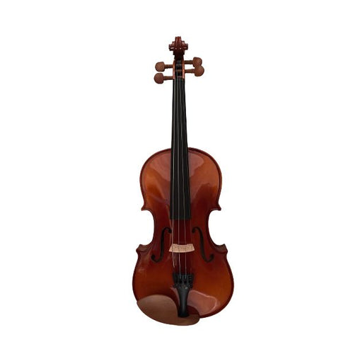 Giuliani SV2 Full Size 4/4 Violin Outfit with Free Suzuki Violin School Book 1