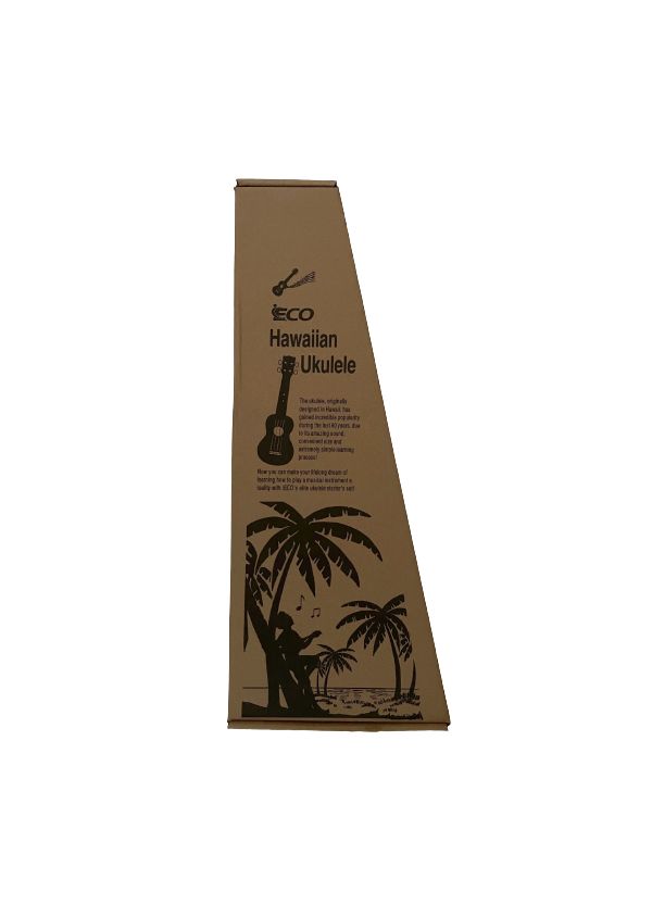 iEco Ukulele with Bag