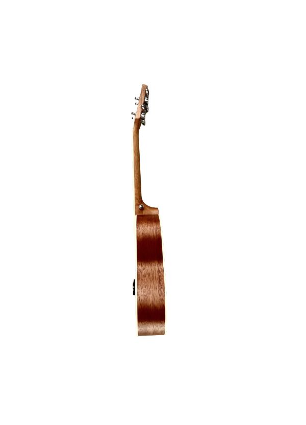 iEco Ukulele with Bag