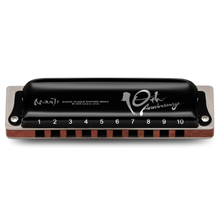 Load image into Gallery viewer, Suzuki 10-Hole Diatonic Manji Harmonica 10th Anniversary Model M-20X