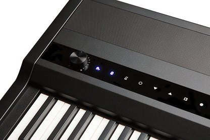 Kurzweil MPS110/MPS120 Digital Stage Piano